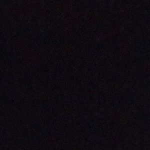 Meet your Posher, Ella